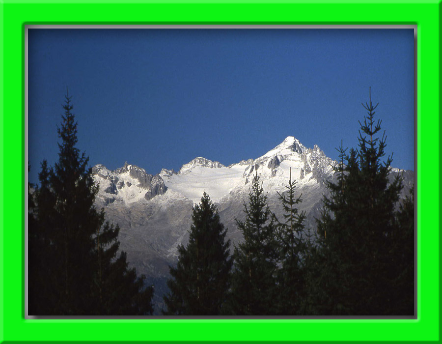 la pi alta vetta del Trentino.....Cima Presanella 3558 m.